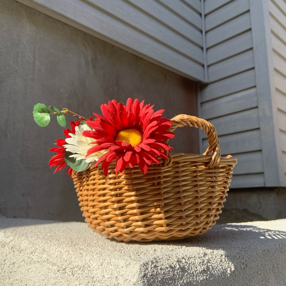 Beautiful multipurpose handle basket